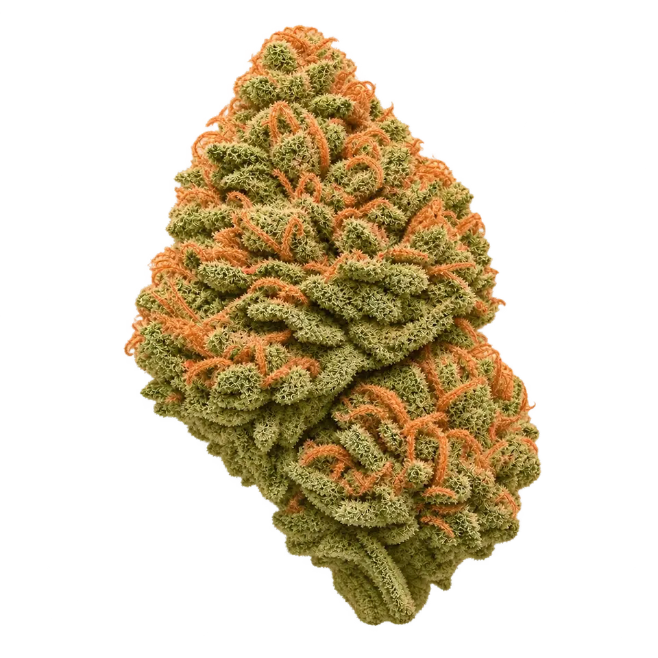 Fruity Kush CBD