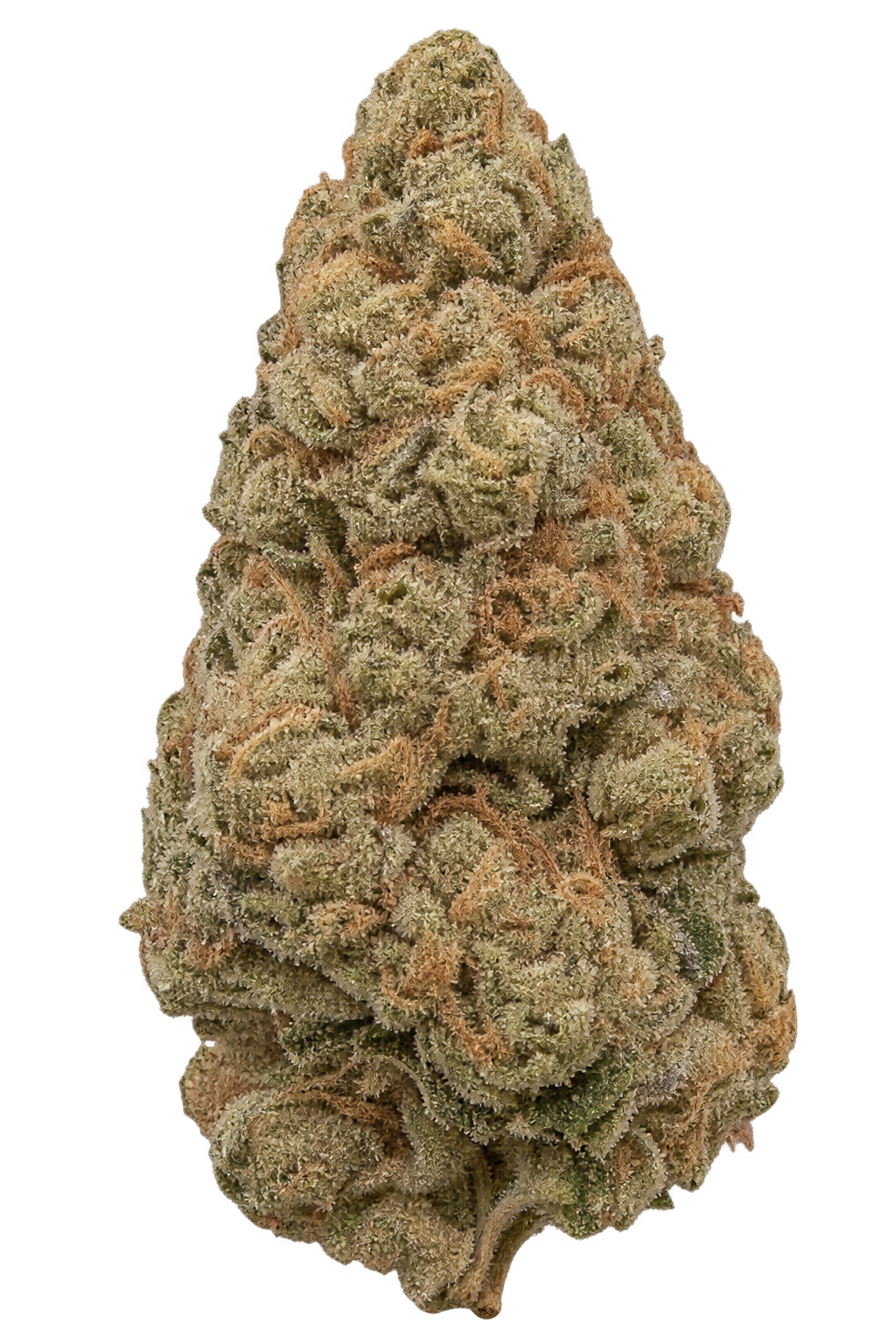 Banana Kush CBD