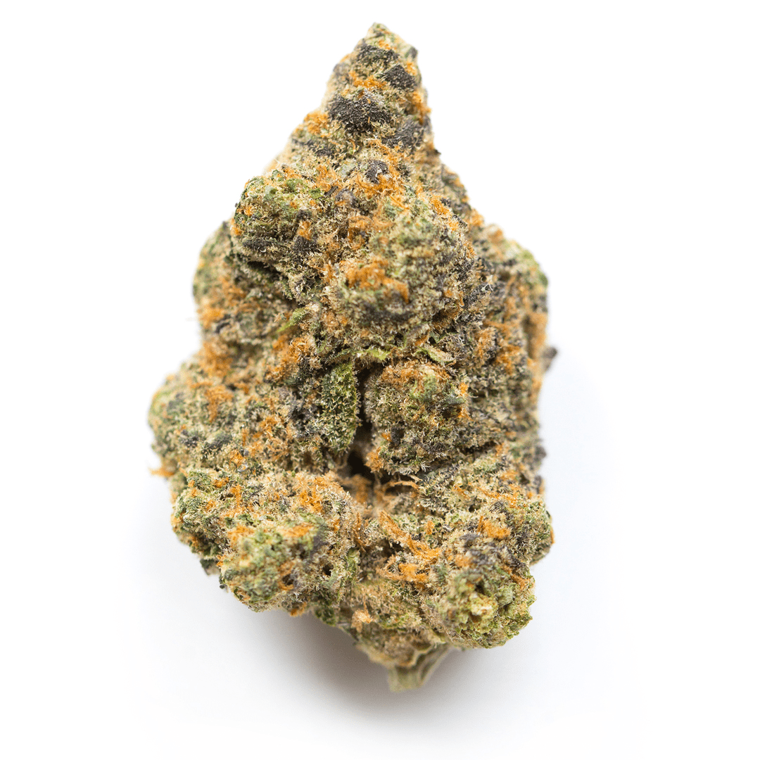 strain-7 (1)